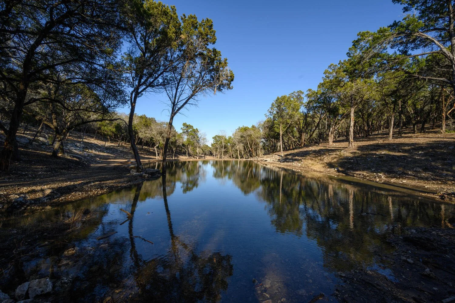 A peaceful river flowing through a forested area with trees on both sides, clear blue sky above, and reflections in the water.