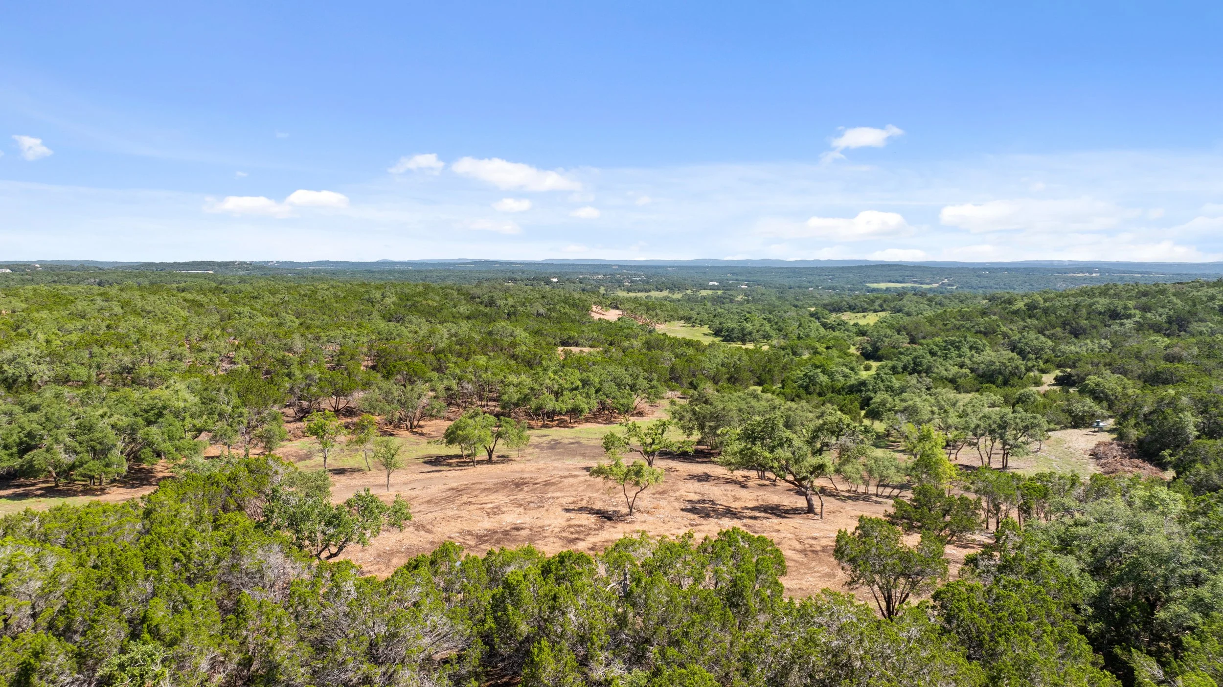 A wide aerial view of a lush green forest with sparse trees, under a bright blue sky with white clouds.