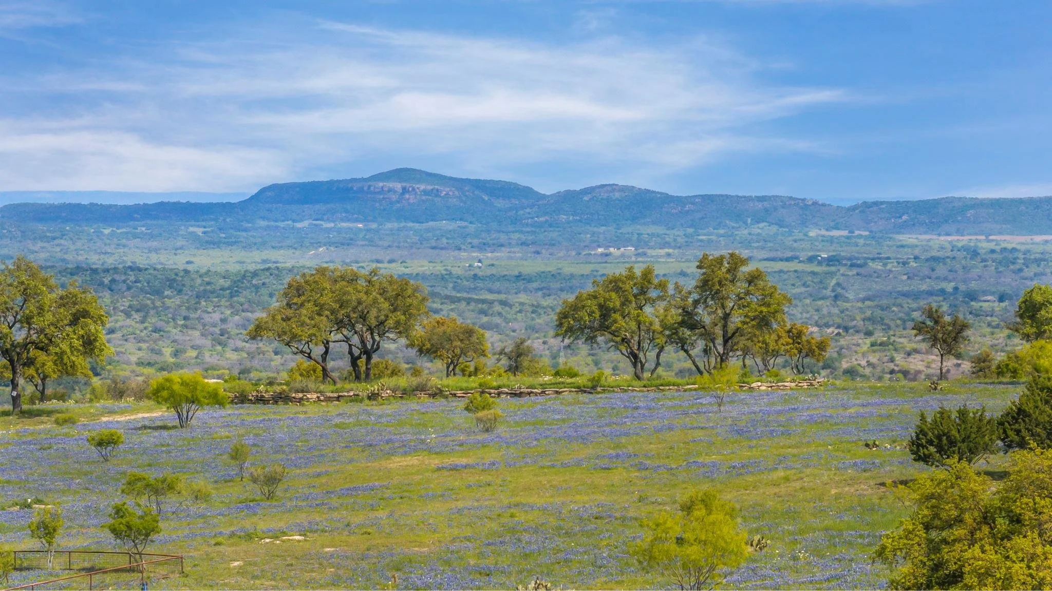 Big Mountain Lot 16 Development Landscape.jpg