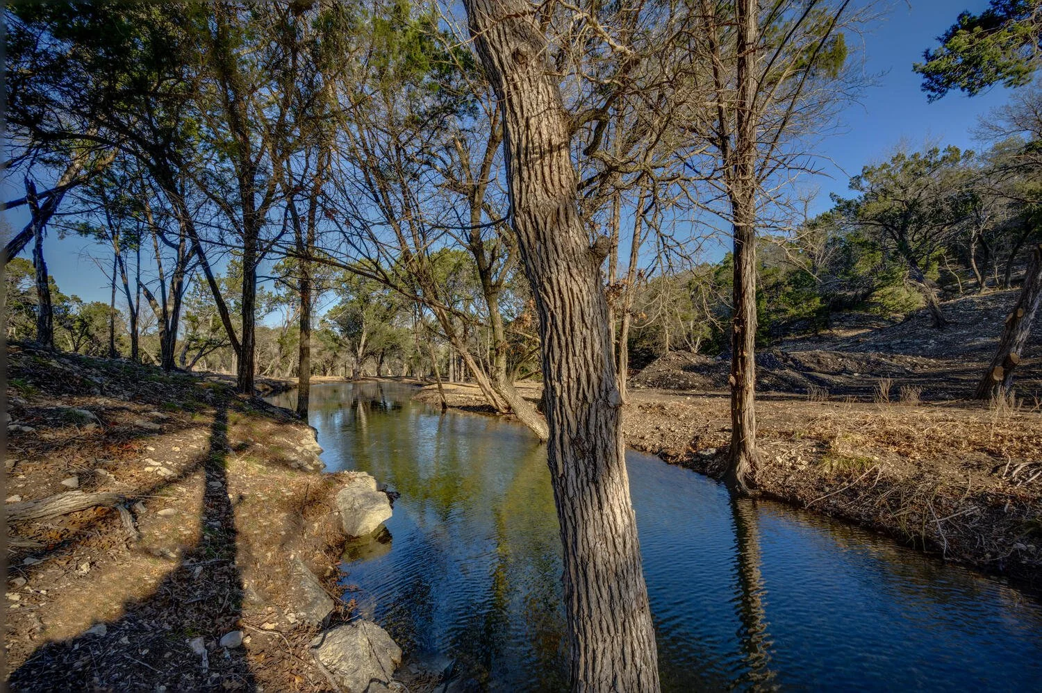 A peaceful river flowing through a wooded area with leafless trees, some evergreen trees, and a clear blue sky.
