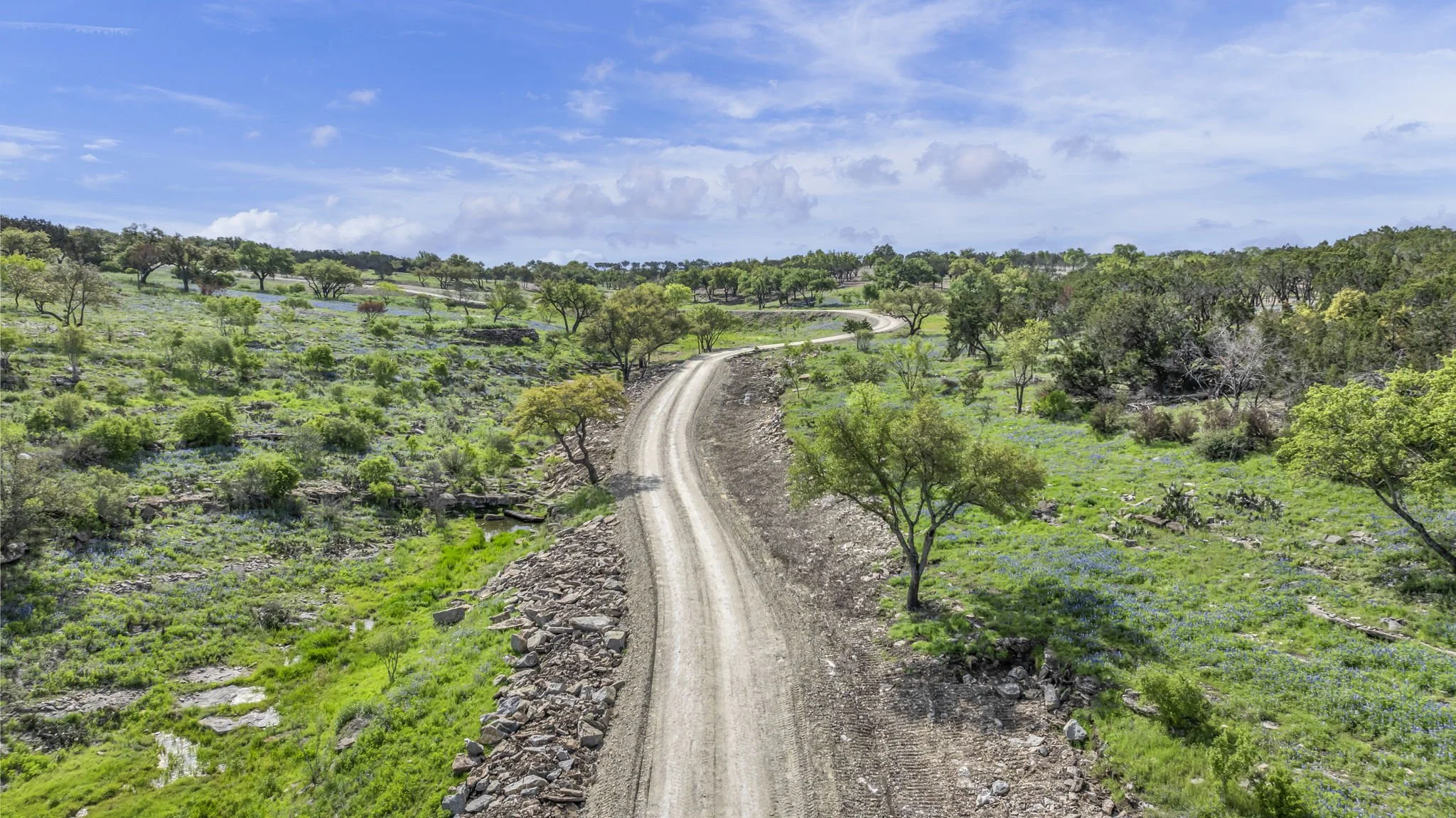 A winding dirt road runs through a lush green hillside dotted with trees and purple wildflowers under a blue sky with scattered clouds.