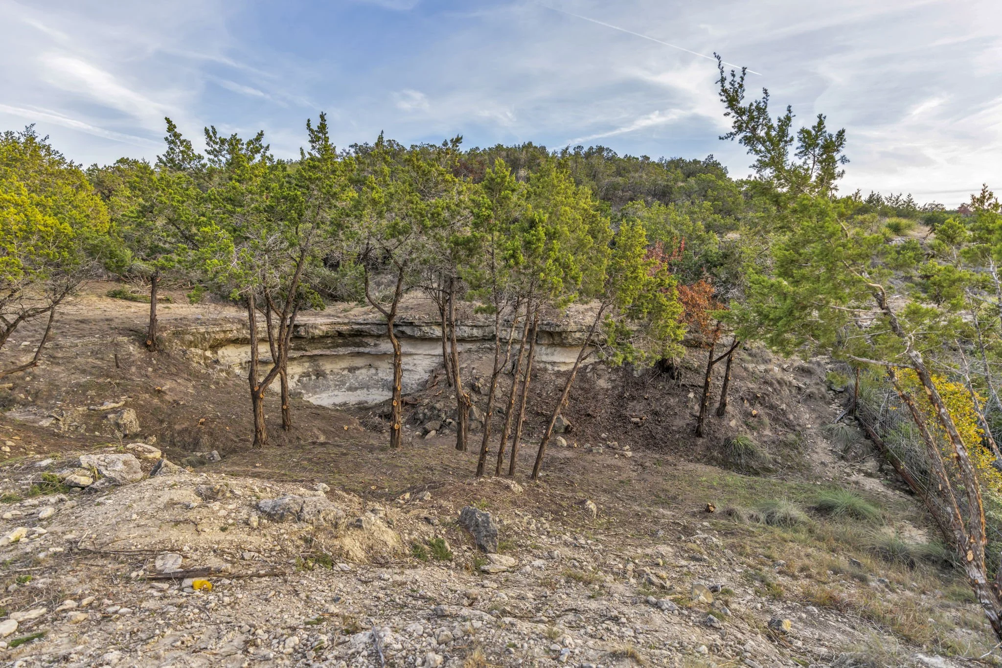 A rocky hillside covered with sparse grass and scattered rocks, with some trees leaning and growing on the slope, and a cliff face in the background underneath a partly cloudy sky.