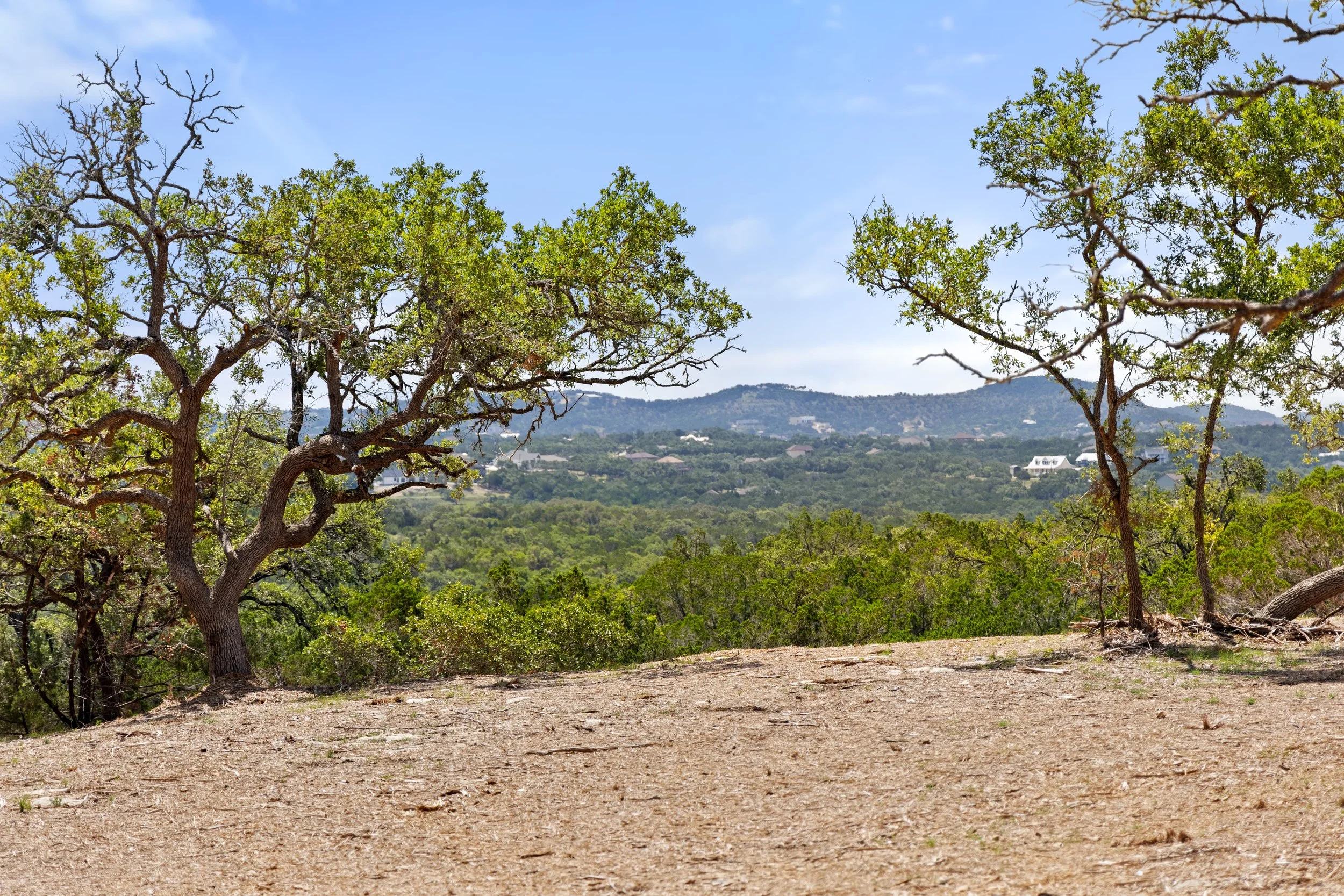 A scenic view of a landscape with trees, hills in the background, and a clear blue sky.
