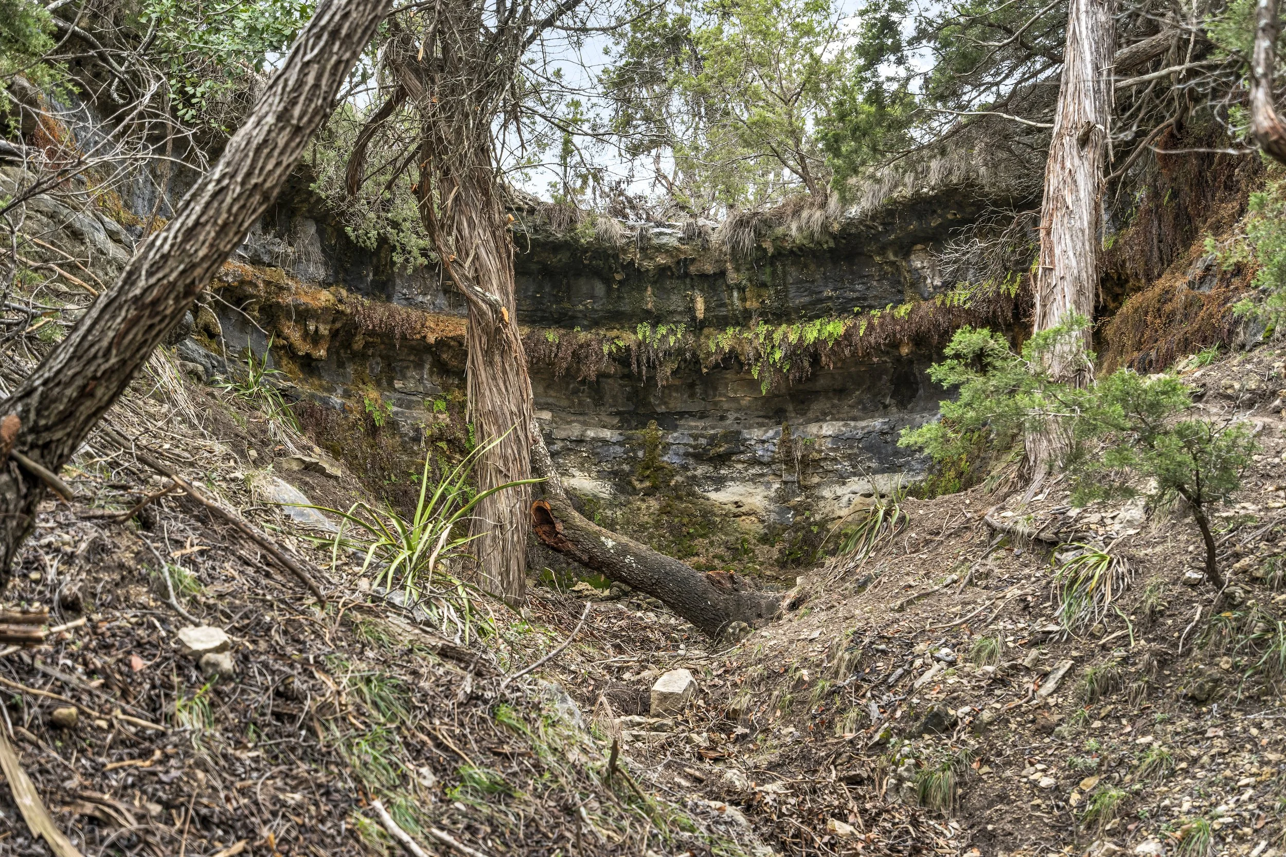 A rocky natural area with trees, shrubs, and moss, featuring a small cave or hollow beneath a ledge.