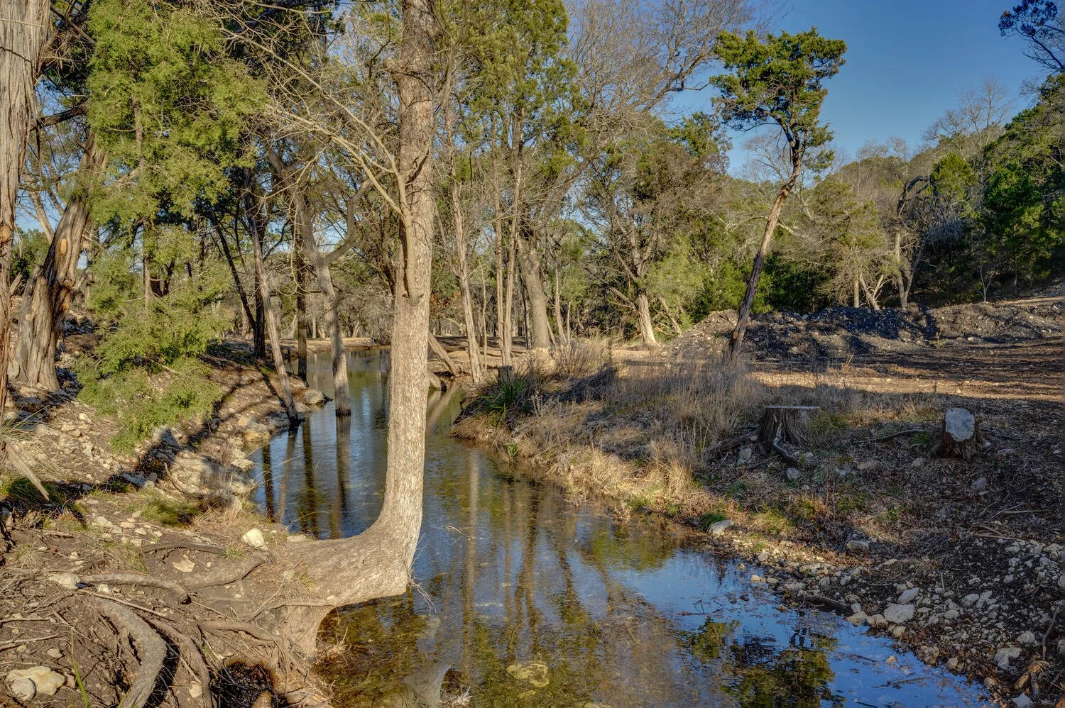 A small creek running through a wooded area with trees on both sides, some with green foliage and others bare, under a clear blue sky.