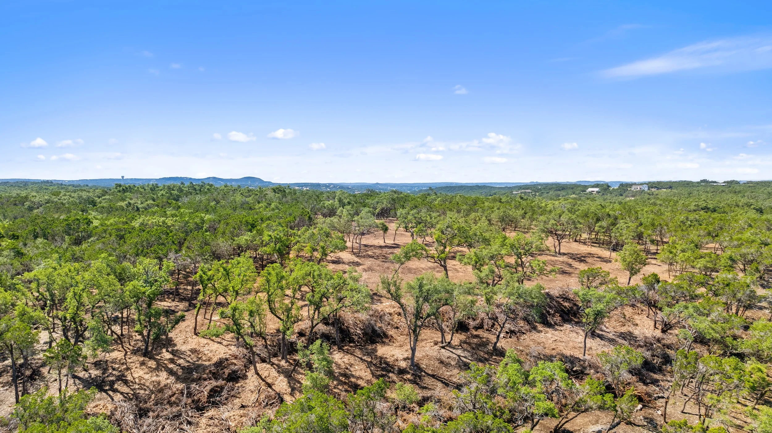 Aerial view of a sparse forest with scattered green trees and dry brown ground under a blue sky with some white clouds.