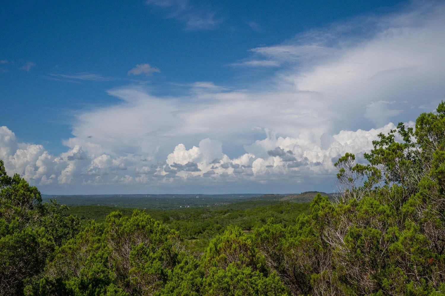 A scenic landscape view of a forested area under a partly cloudy sky with green trees in the foreground and distant hills.