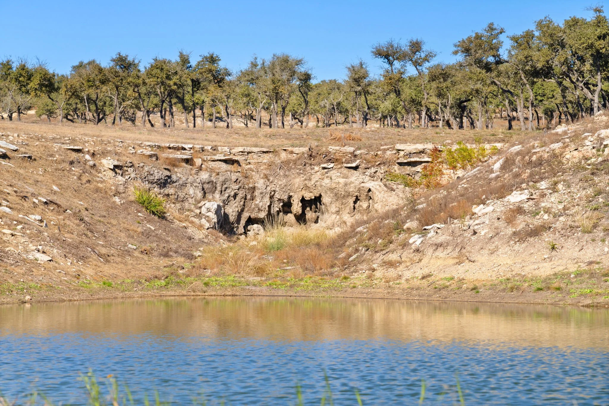 A rocky riverbank with a small pond in the foreground, dry grass and bushes, and a tree line on a hill in the background under a clear blue sky.