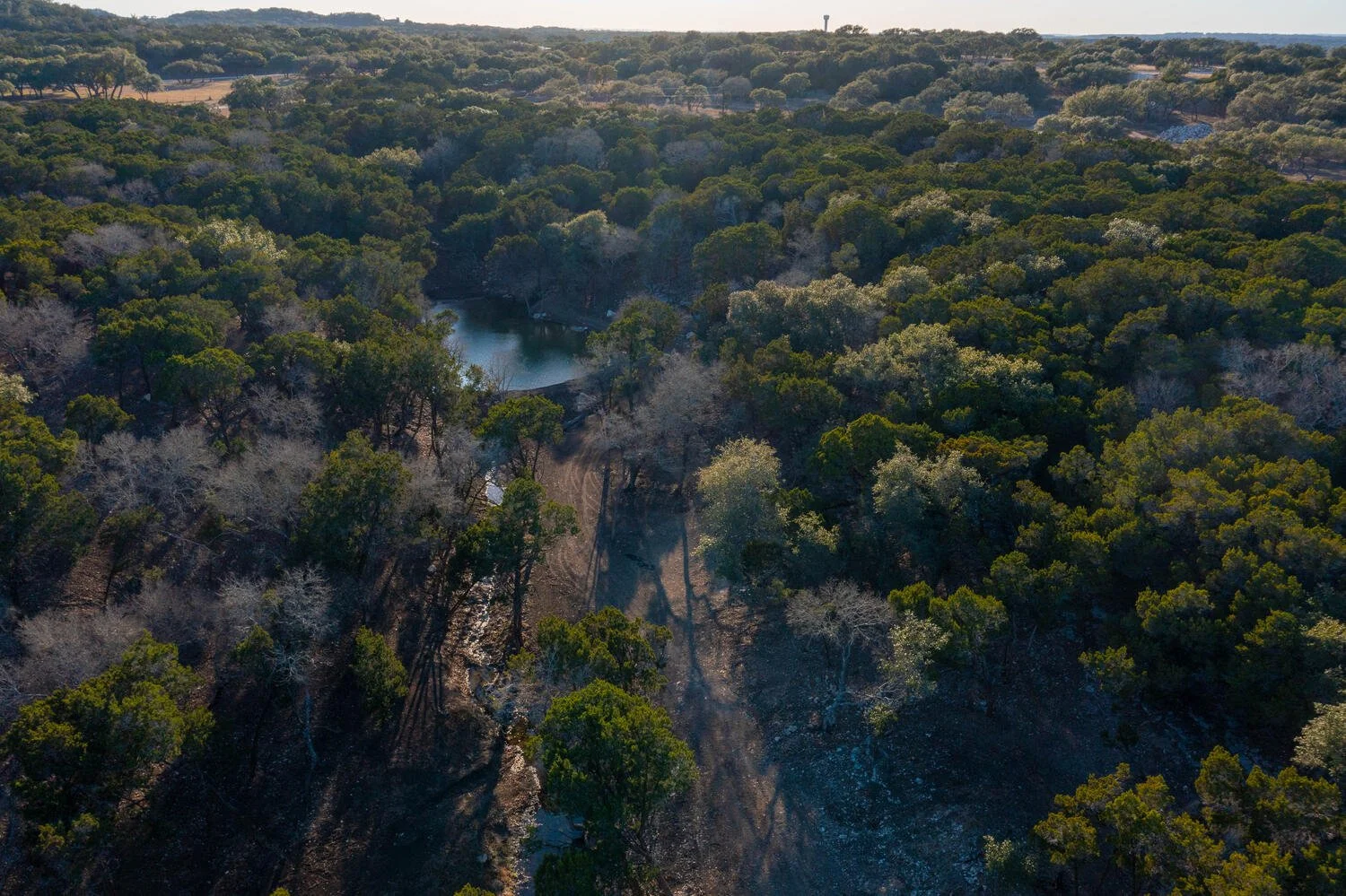 Aerial view of a dense forest with a small lake and dirt roads.