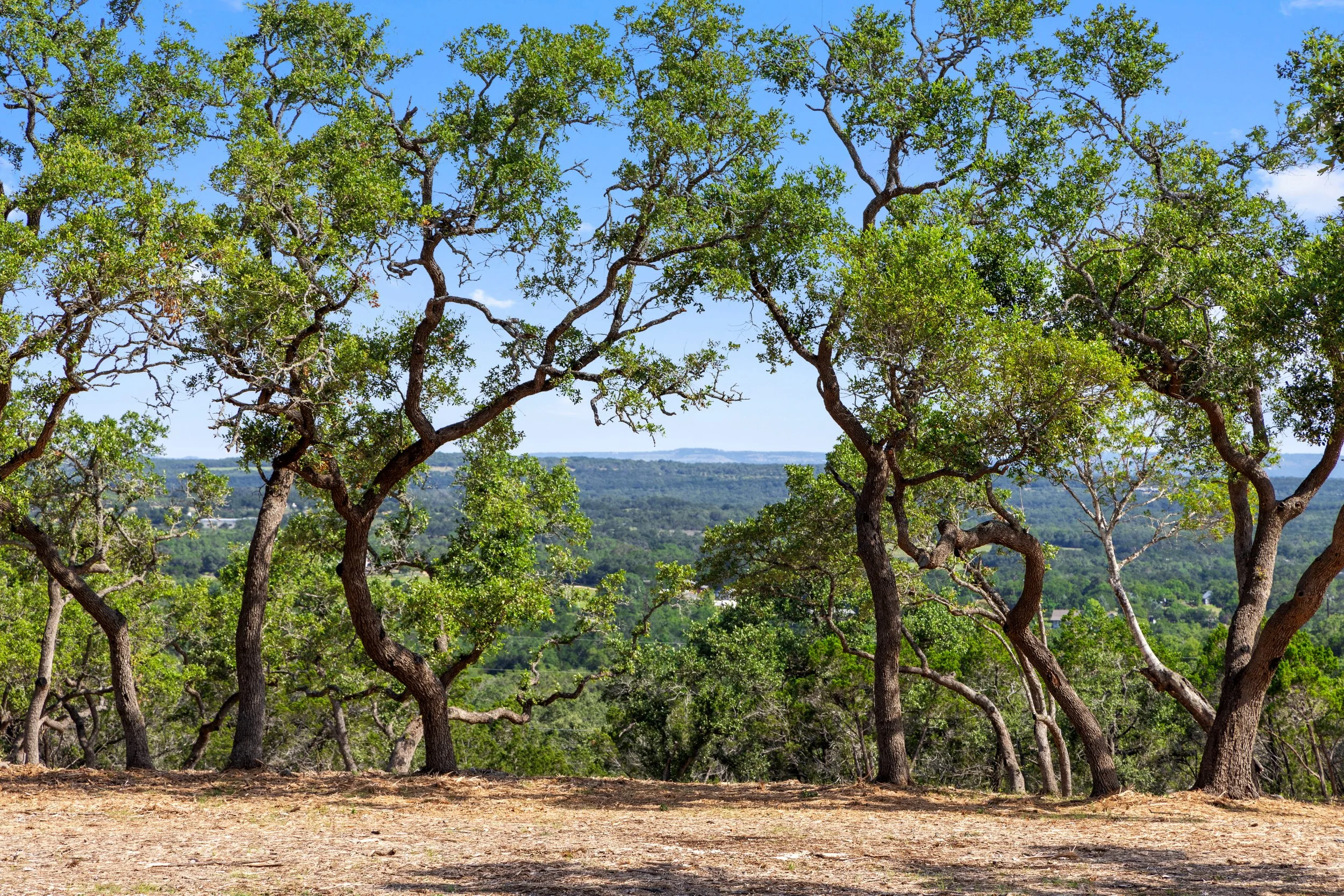 RanchesAt Canyon Crossing wooded ranchette community near Wimberley and Canyon Lake Texas