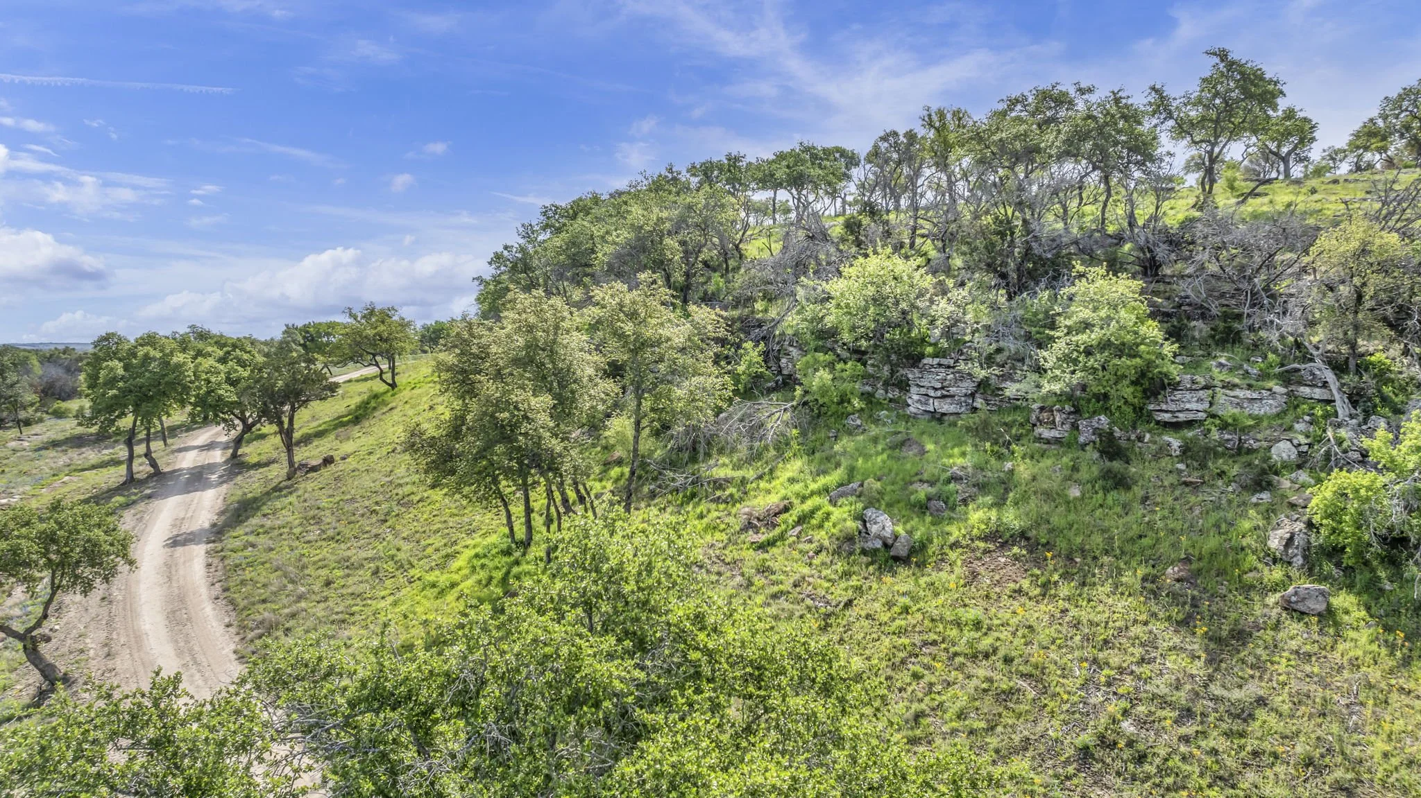 A winding dirt road runs through a lush green hillside with scattered trees, rocks, and a bright blue sky with clouds.