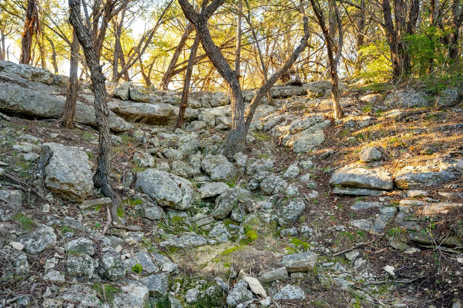 Sunlight filtering through trees onto a rugged hillside with rocks and sparse vegetation.