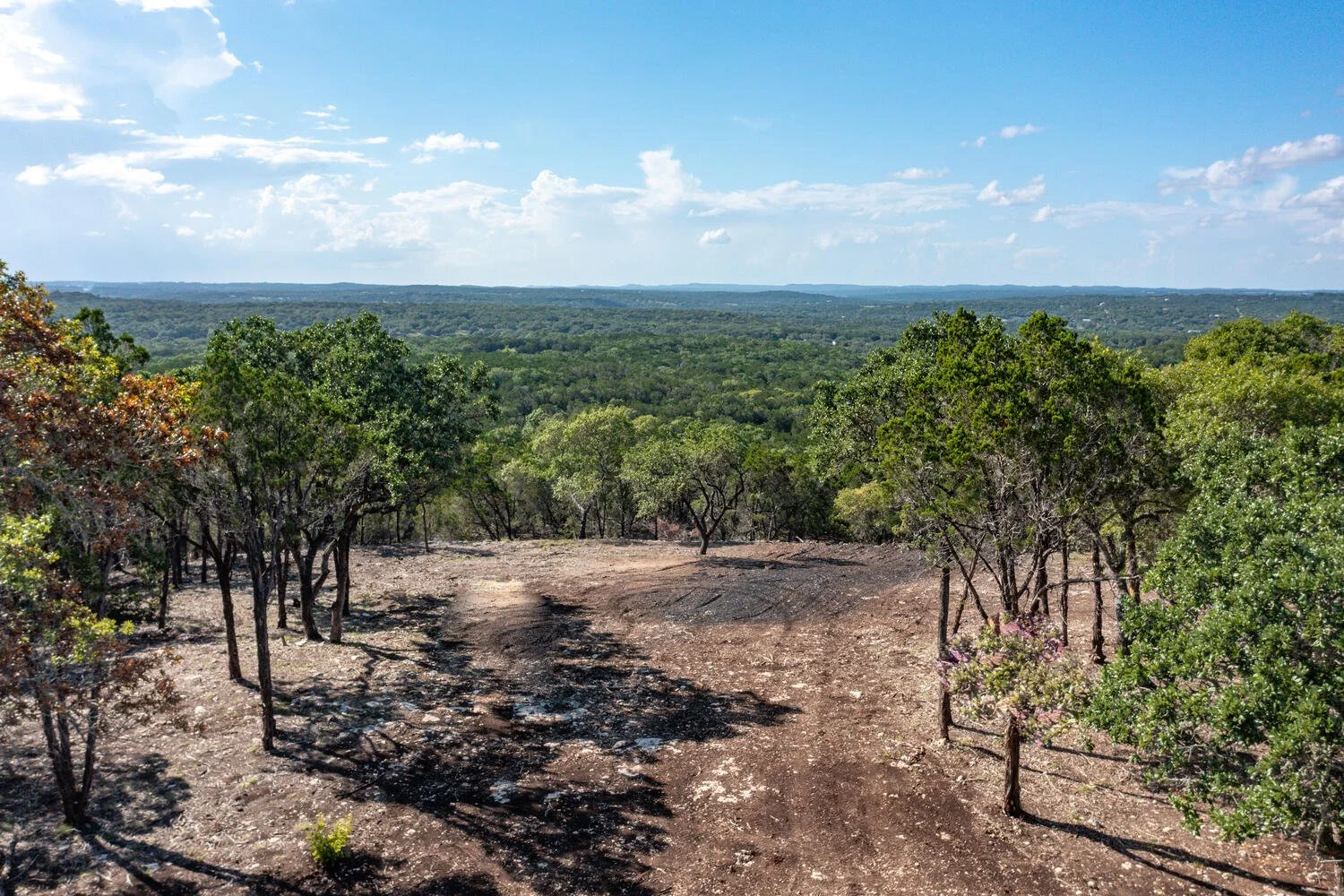 A dirt path winds through sparse trees on a hill, overlooking a vast green forest under a partly cloudy blue sky.