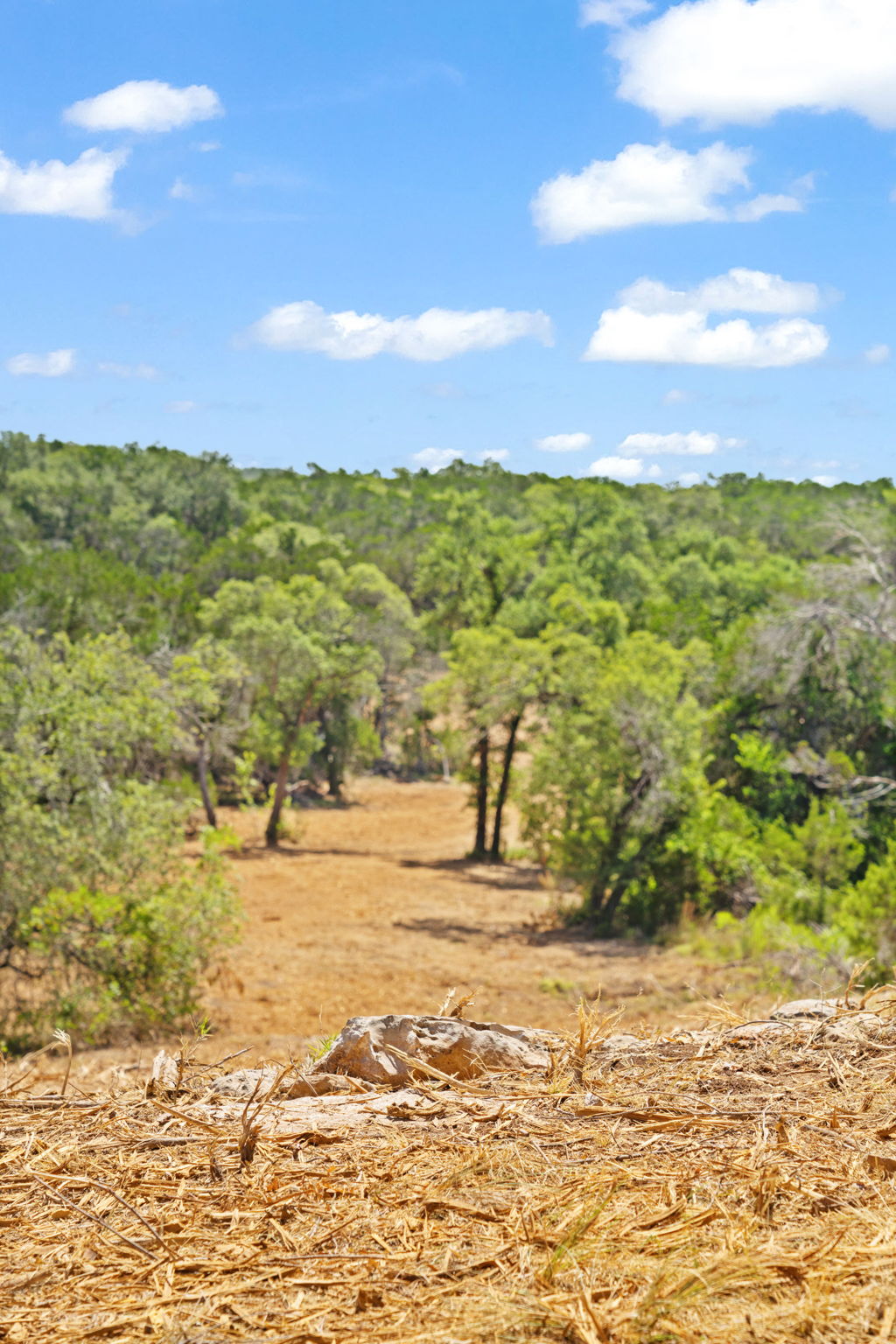 RanchesAt Driftwood property view 24