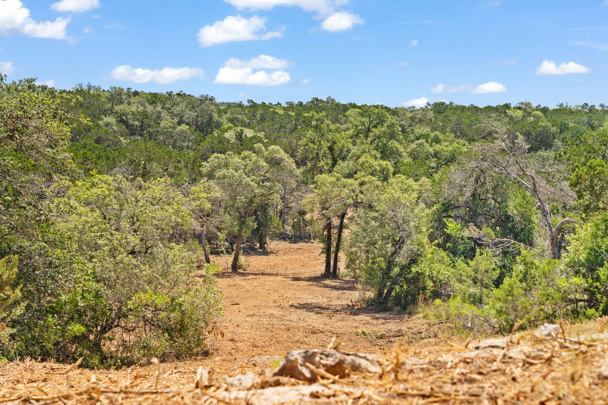 RanchesAt Driftwood property view 25