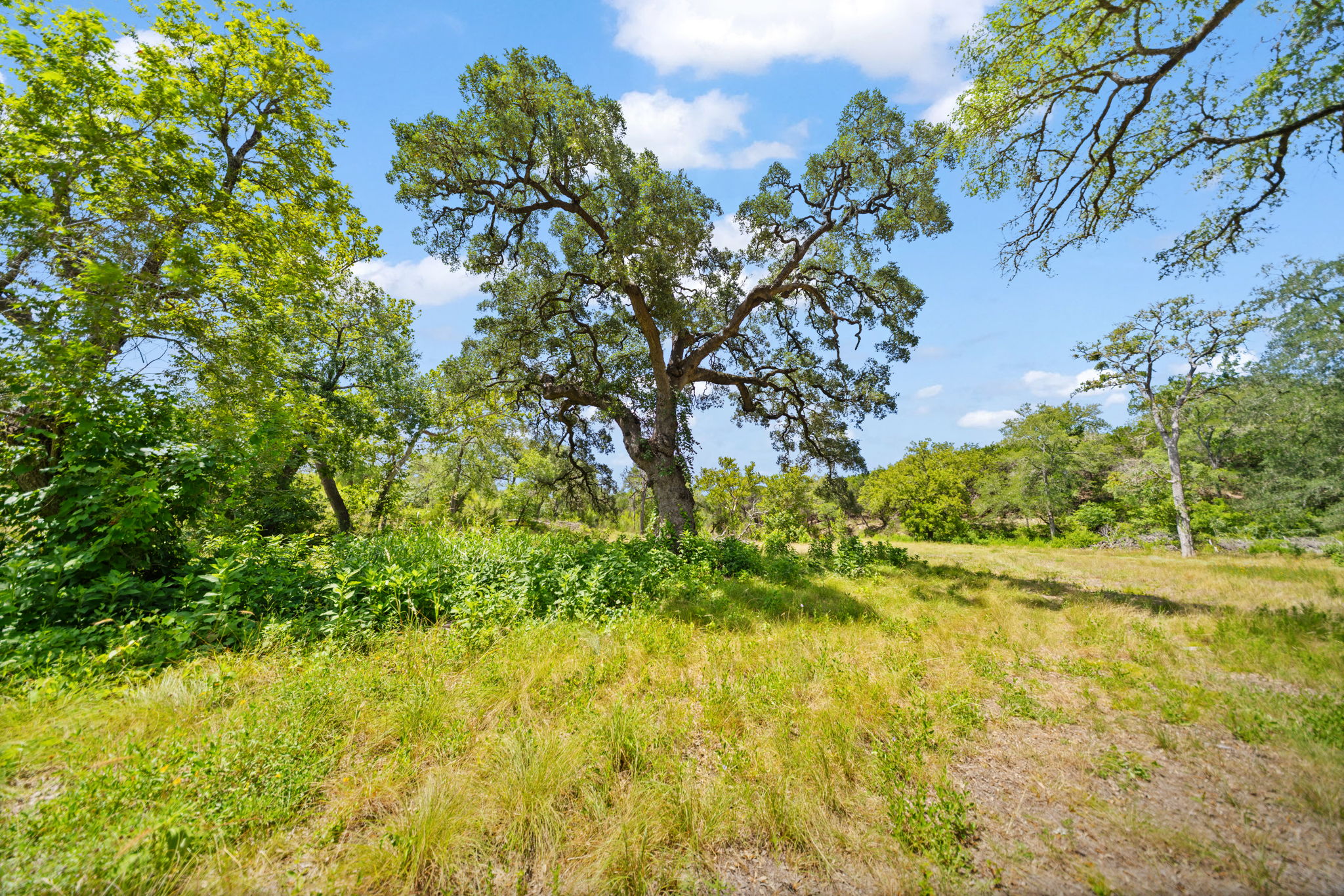 10 to 17 acre ranchette homesite at RanchesAt Driftwood in Hays County Texas