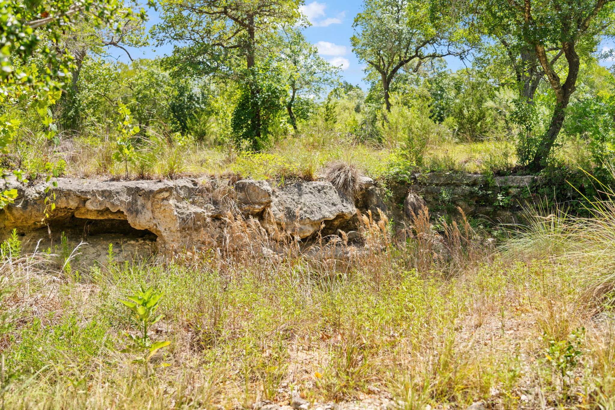 RanchesAt Driftwood property view 35