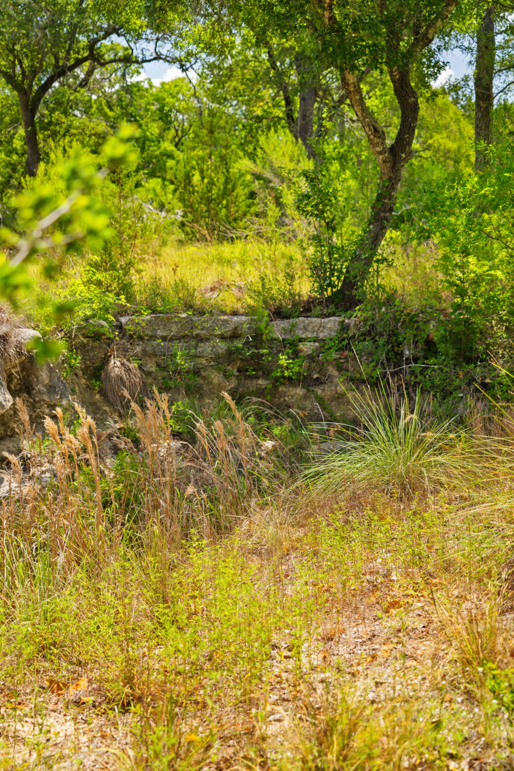 RanchesAt Driftwood property view 37